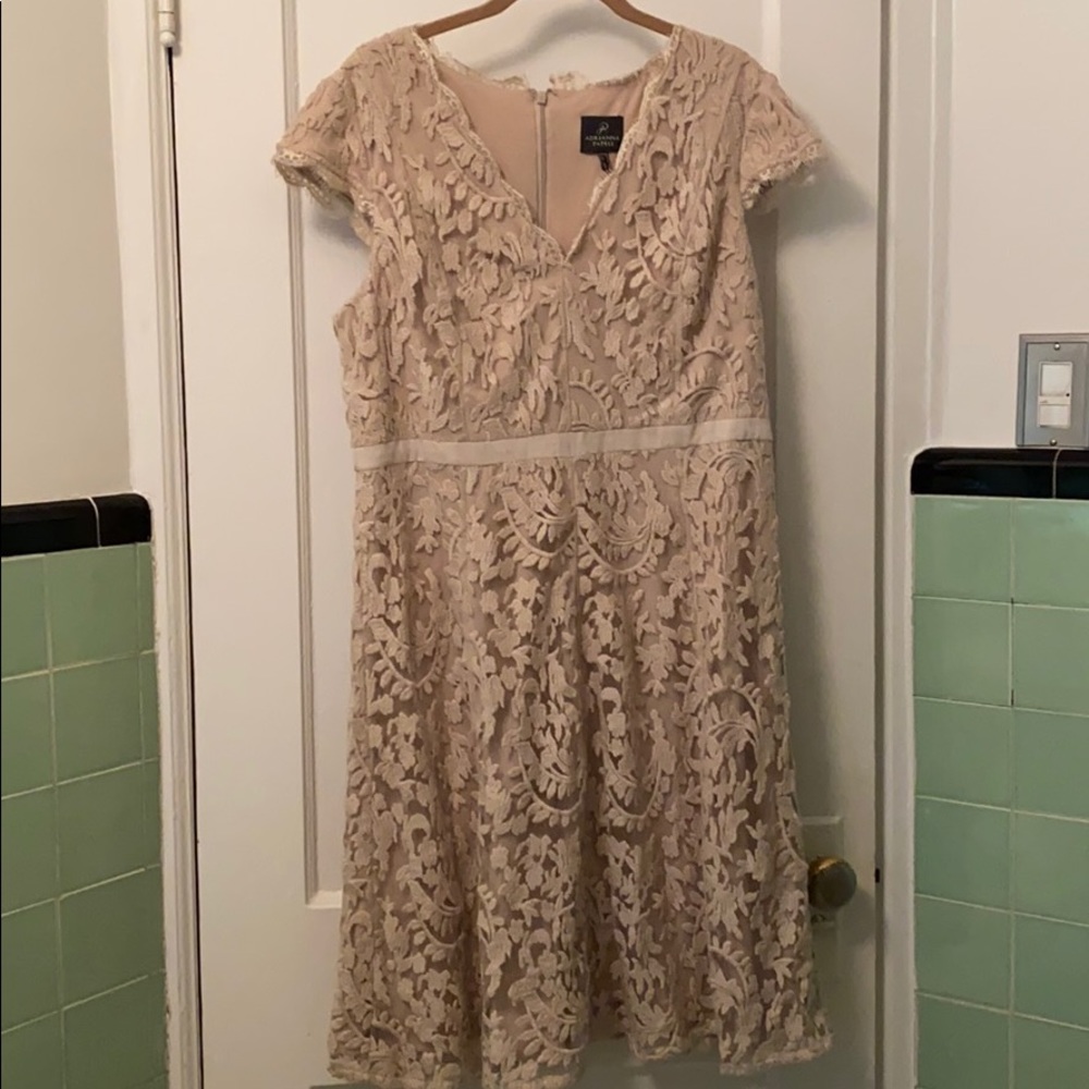 NEW Adrianna Papell Cream Ivory Lace Dress